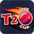 Super T20 Cup