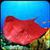 Stingray Water Family Simulator