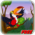 KILL KILL BIRD