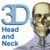 Skeletal System (Head and Neck)