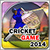 Cricket 2014 Game