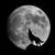 MoonLight V1.01