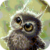 Funny Little Owl Live Wallpaper