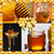 Honey Photo Collage Free