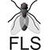FLS
