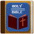 NVI Bible- Spanish