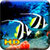 Fish Live HD Wallpaper
