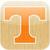 Vols Basketball