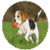 Billoo And Dog Toy