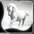 Nice Horses Live Wallpapers