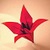 ORIGAMI FLOWERS