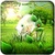 Forest GO Launcher