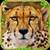 Furious Cheetah Simulator