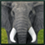 Wild Elephant Simulator