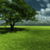 Nature HD Wallpaper For Android Phones For Free