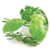 Benefits of Herbs