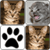 Cats Memory Game 2015