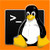 XLinux Android Linux distribution with terminal