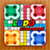 Ludo Champions Win Big