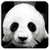 AnimalPix