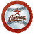 Houston Astros Fan