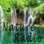 Free Radio Ambient And Nature