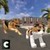 Dog VS Cat: City Survival