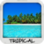 Tropical Wallpapers