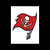 Tampa Bay Buccaneers Fan