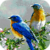 Flight Break Live Wallpaper