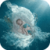 Nest Of Baby Live Wallpaper