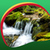 New Waterfall Live Wallpapers Popular