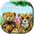 Teddy Hide n Seek