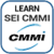 Learn SEI CMMI