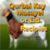 Qurbani Masail OR Eid Recipes