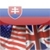 Slovak English Dictionary & Translator