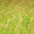 Nature Live Wallpaper 47