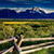 Mountain Field Live Wallpaper