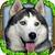 Stray Dog Simulator top