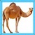Kids Camel
