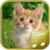 Cats sounds app