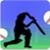 Cricket Hit