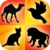 Animal Shadows