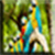 Birds Images App