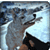 Wolf Hunters Game 3D