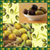 Olive Photo Collage