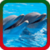 Dolphin Ringtones 2018