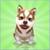 iHusky 3D Pet Lite