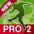 My Football Pro 2