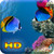 Free Download Aquarium HD Wallpaper